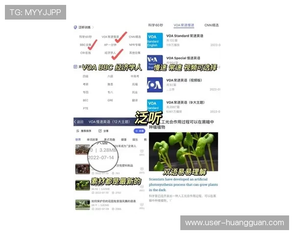 最新皇冠登陆ip网址推荐及使用指南，带你轻松进入皇冠平台