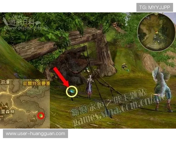 澳门财神在线游戏攻略大全,帮助新手快速掌握游戏技巧实现高效盈利 澳门财神在线游戏攻略大全,帮助新手快速掌握游戏技巧实现高效盈利